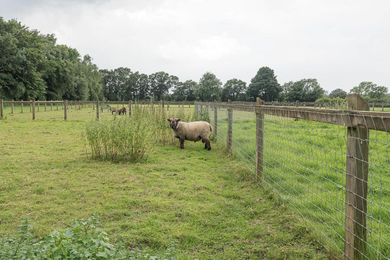 Grove Farm Bungalow With Swimming Pool, Dallinghoo Woodbridge Buitenkant foto