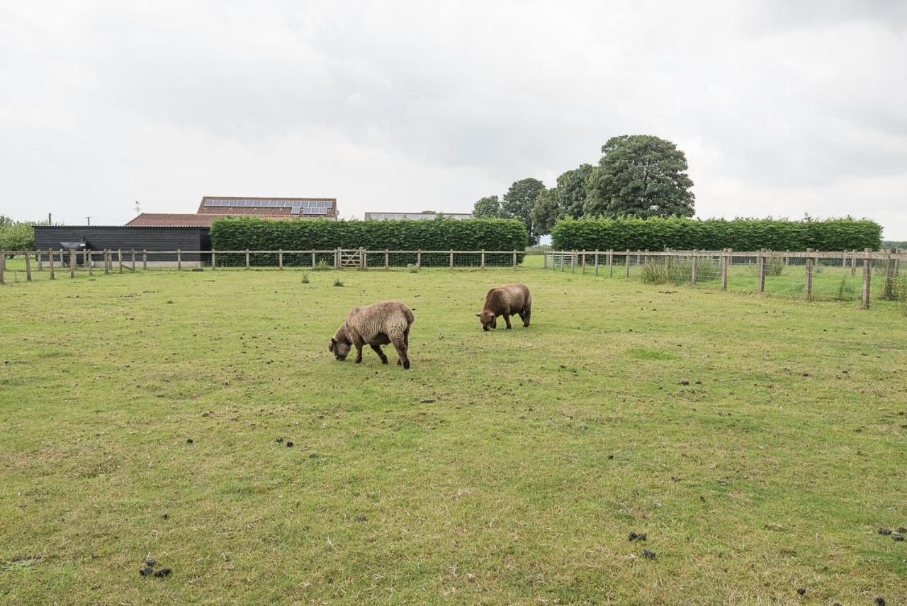 Grove Farm Bungalow With Swimming Pool, Dallinghoo Woodbridge Buitenkant foto